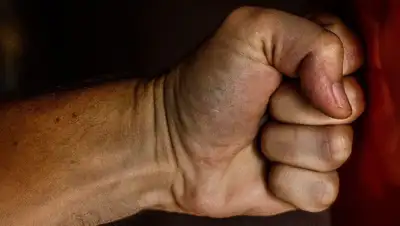 кулак, фото - Новости Zakon.kz от 08.12.2021 14:56