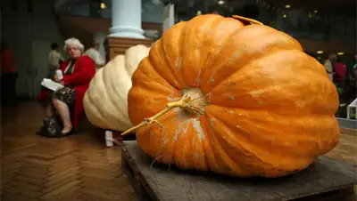 Zakon.kz, фото - Новости Zakon.kz от 07.11.2013 19:46