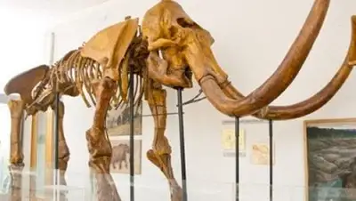 Zakon.kz, фото - Новости Zakon.kz от 22.09.2014 20:26