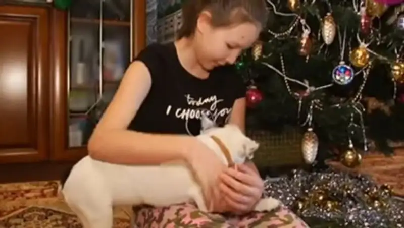 Назарбаев подарил маленькой алматинке щенка бульдога