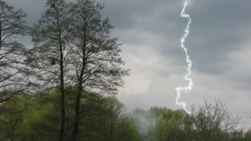 В Казахстане ожидаются дожди с грозами