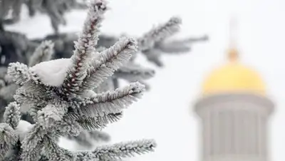 pixabay.com, фото - Новости Zakon.kz от 14.01.2020 16:50