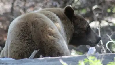 Zakon.kz, фото - Новости Zakon.kz от 14.08.2015 13:00