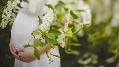 piqsels.com, фото - Новости Zakon.kz от 06.05.2020 11:49