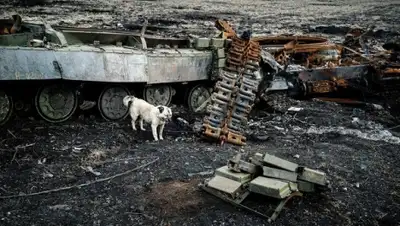 Zakon.kz, фото - Новости Zakon.kz от 30.04.2015 06:14