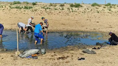 Почему мальки в Прикаспии под угрозой гибели , фото - Новости Zakon.kz от 04.09.2023 19:05