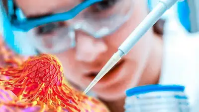 Youtube, фото - Новости Zakon.kz от 01.03.2020 07:35