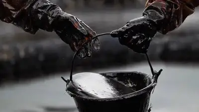 Zakon.kz, фото - Новости Zakon.kz от 17.07.2017 22:03