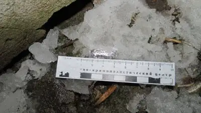 tverweek.com, фото - Новости Zakon.kz от 21.11.2019 11:32