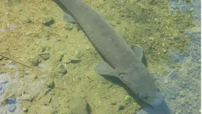 pixabay.com, фото - Новости Zakon.kz от 28.03.2019 10:51