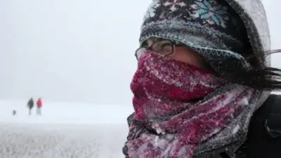 obk.kz., фото - Новости Zakon.kz от 05.02.2018 14:10