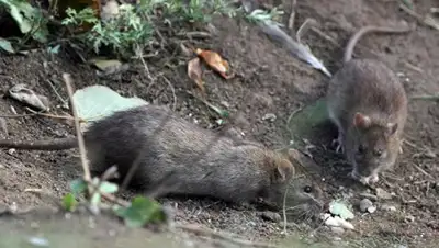 © РИА Новости / Алексей Даничев, фото - Новости Zakon.kz от 23.06.2018 22:50