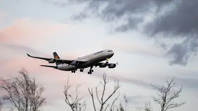 Самолет компании Bek Air якобы был обнаружен летящим в Алматы, фото - Новости Zakon.kz от 10.12.2022 16:04