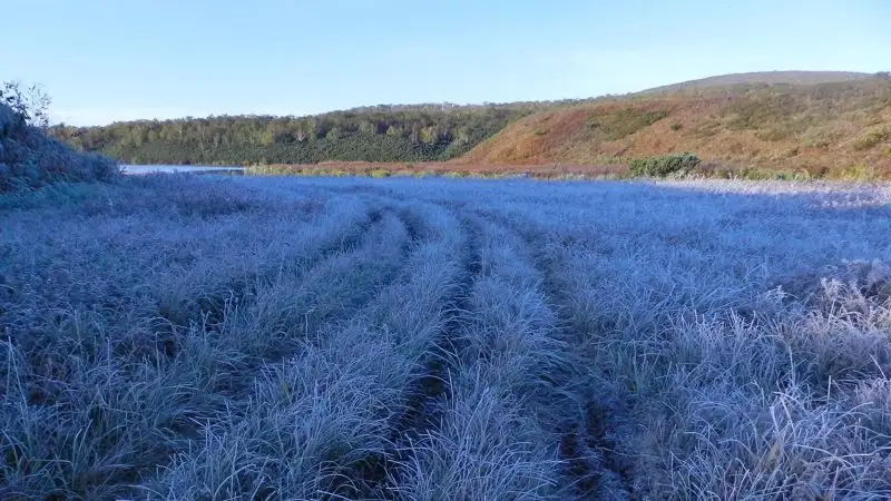 Заморозки до -7 градусов ожидаются в Казахстане