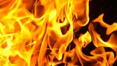 Zakon.kz, фото - Новости Zakon.kz от 25.02.2014 16:05