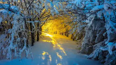 ptoday.ru, фото - Новости Zakon.kz от 29.11.2019 17:19