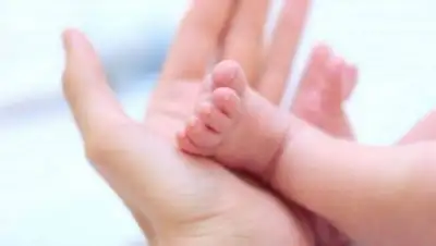 Zakon.kz, фото - Новости Zakon.kz от 15.03.2017 19:41