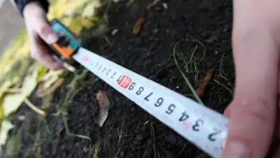 из открытых источников, фото - Новости Zakon.kz от 05.04.2018 19:59