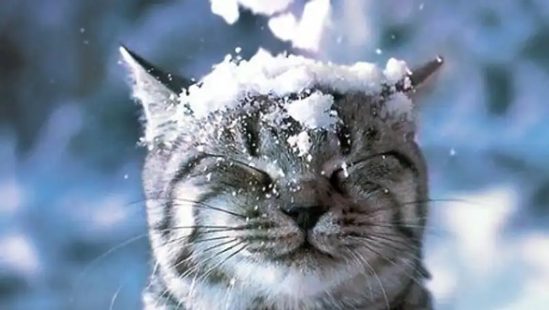 В Павлодаре выпал первый снег