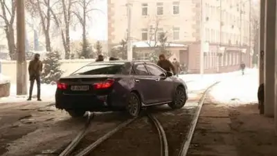 ГО "Зупини лося", фото - Новости Zakon.kz от 18.02.2021 19:57