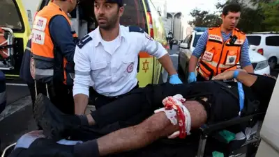 Zakon.kz, фото - Новости Zakon.kz от 18.11.2014 20:56