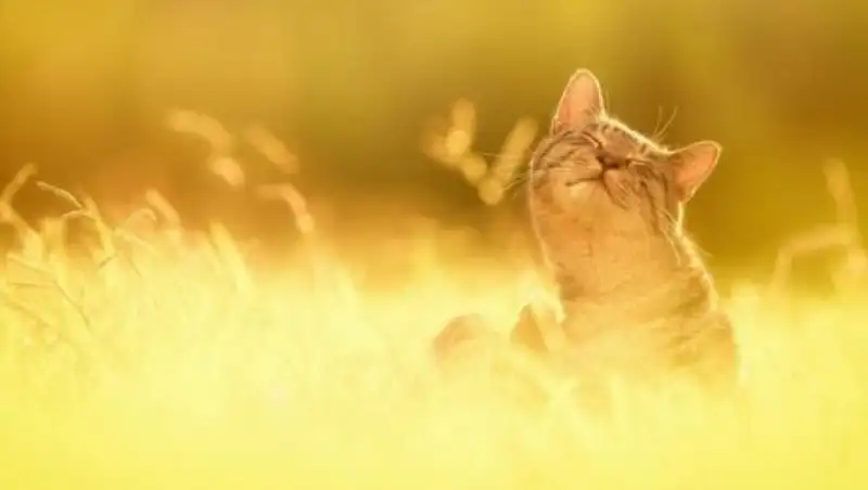 В пятницу в Казахстане сохранится неустойчивая погода