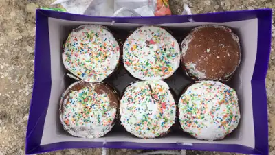 Look My Trips, фото - Новости Zakon.kz от 30.04.2019 14:47