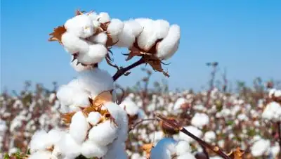 zakon.kz., фото - Новости Zakon.kz от 11.10.2020 10:00