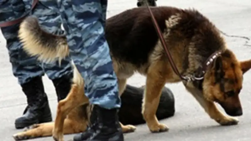 В УПМ ГУВД Бишкека ищут бомбу