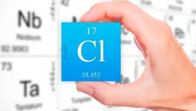 Zakon.kz, фото - Новости Zakon.kz от 12.09.2017 17:18