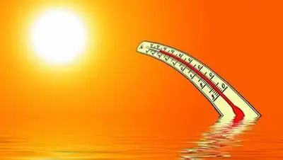 Pixabay, фото - Новости Zakon.kz от 13.08.2021 18:33