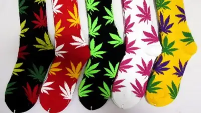 Zakon.kz, фото - Новости Zakon.kz от 29.05.2015 17:42