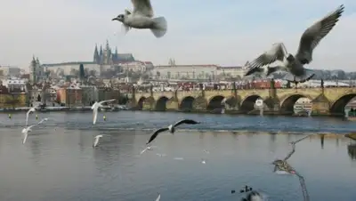 Zakon.kz, фото - Новости Zakon.kz от 06.02.2016 05:46