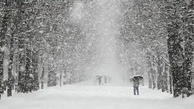 Zakon.kz, фото - Новости Zakon.kz от 18.02.2017 12:00