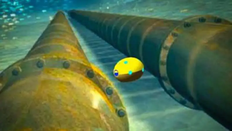 В США изобрели робота для поиска контрабанды