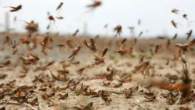 Zakon.kz, фото - Новости Zakon.kz от 09.02.2016 19:50