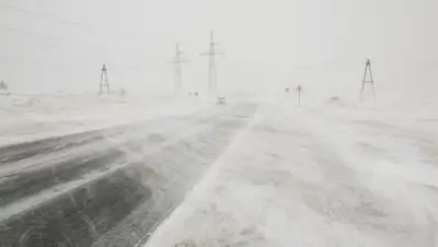 Zakon.kz, фото - Новости Zakon.kz от 24.12.2015 01:15