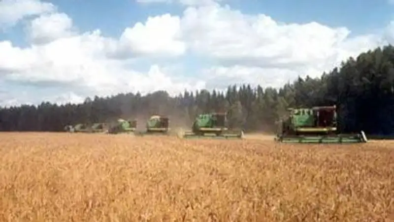 В Казахстане ужесточают ответственность за нерациональное использование сельхозугодий