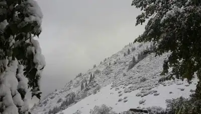 Zakon.kz, фото - Новости Zakon.kz от 03.10.2016 03:10