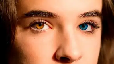 из открытых источников, фото - Новости Zakon.kz от 04.02.2019 14:13