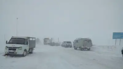 56nv.ru, фото - Новости Zakon.kz от 24.12.2019 10:07