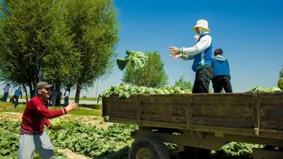 Zakon.kz, фото - Новости Zakon.kz от 26.04.2017 22:30