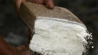 Zakon.kz, фото - Новости Zakon.kz от 12.05.2015 13:13