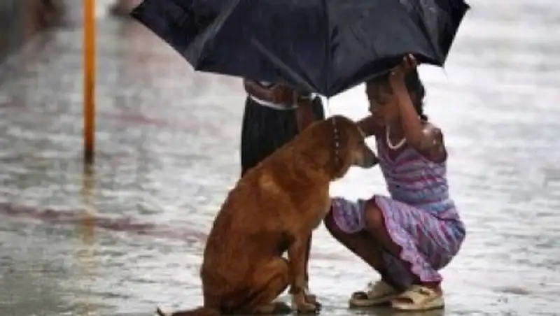 В среду в Казахстане возможны грозы и ветер