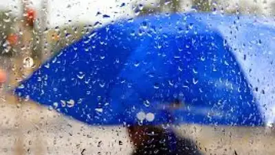 Zakon.kz, фото - Новости Zakon.kz от 12.09.2016 13:02