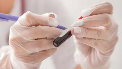 dialog-sochi.ru, фото - Новости Zakon.kz от 20.03.2020 13:52