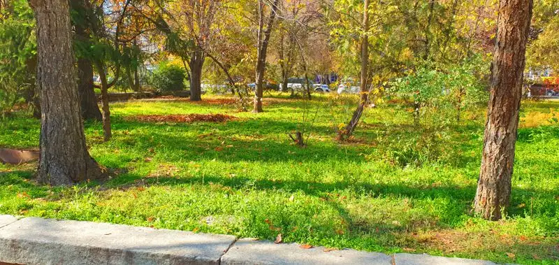 уборка листьев в скверах Алматы, фото - Новости Zakon.kz от 10.11.2023 17:05