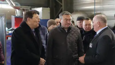 -, фото - Новости Zakon.kz от 30.11.2019 18:04