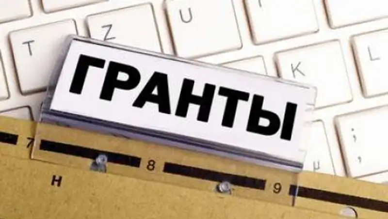 Фонд науки начал прием заявок на грантовое финансирование