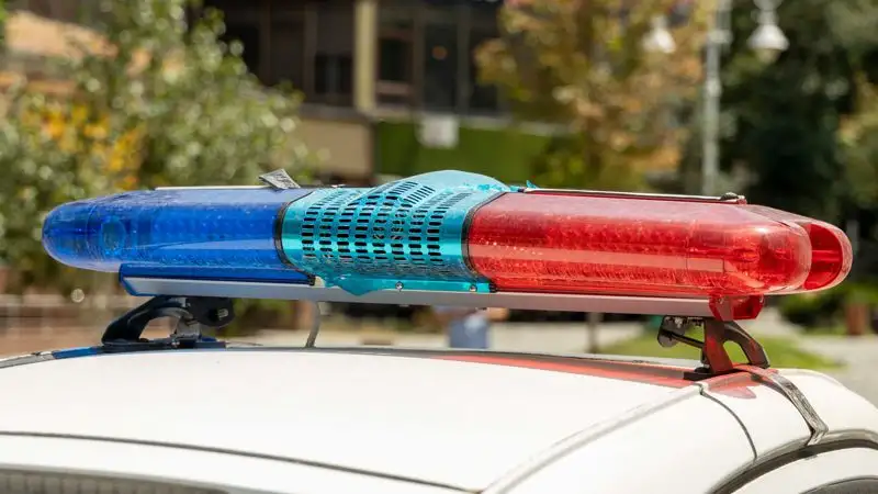 Подозреваемую в мошенничестве на 60 млн тенге разыскивает полиция Шымкента